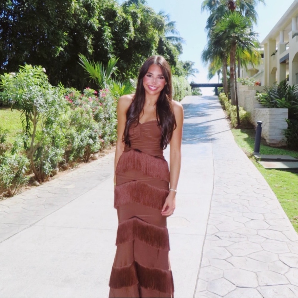 House of Harlow 1960 Brown Strapless Maxi Dress - Picture 5 of 5